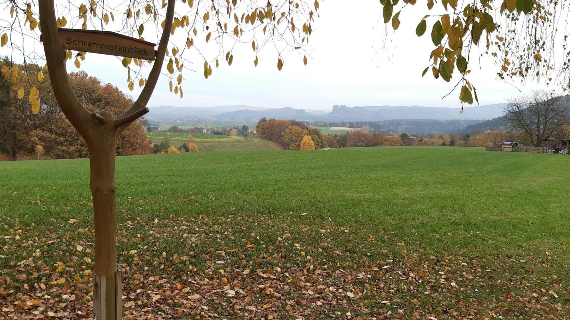 Ferienhaus Papstdorf Kurort Gohrisch Esterno foto